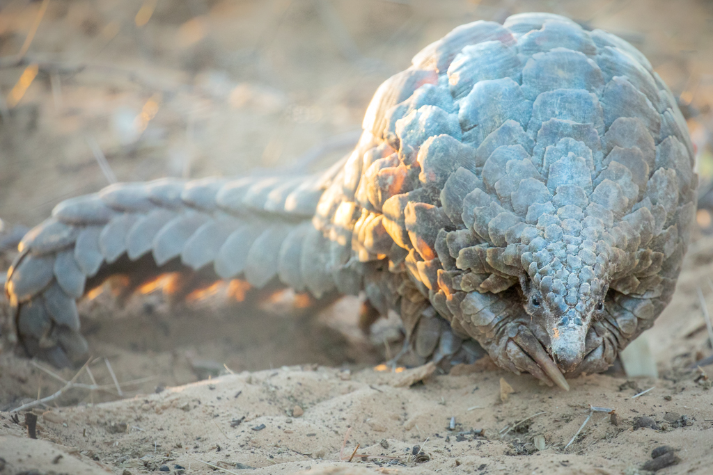 Unable to load image