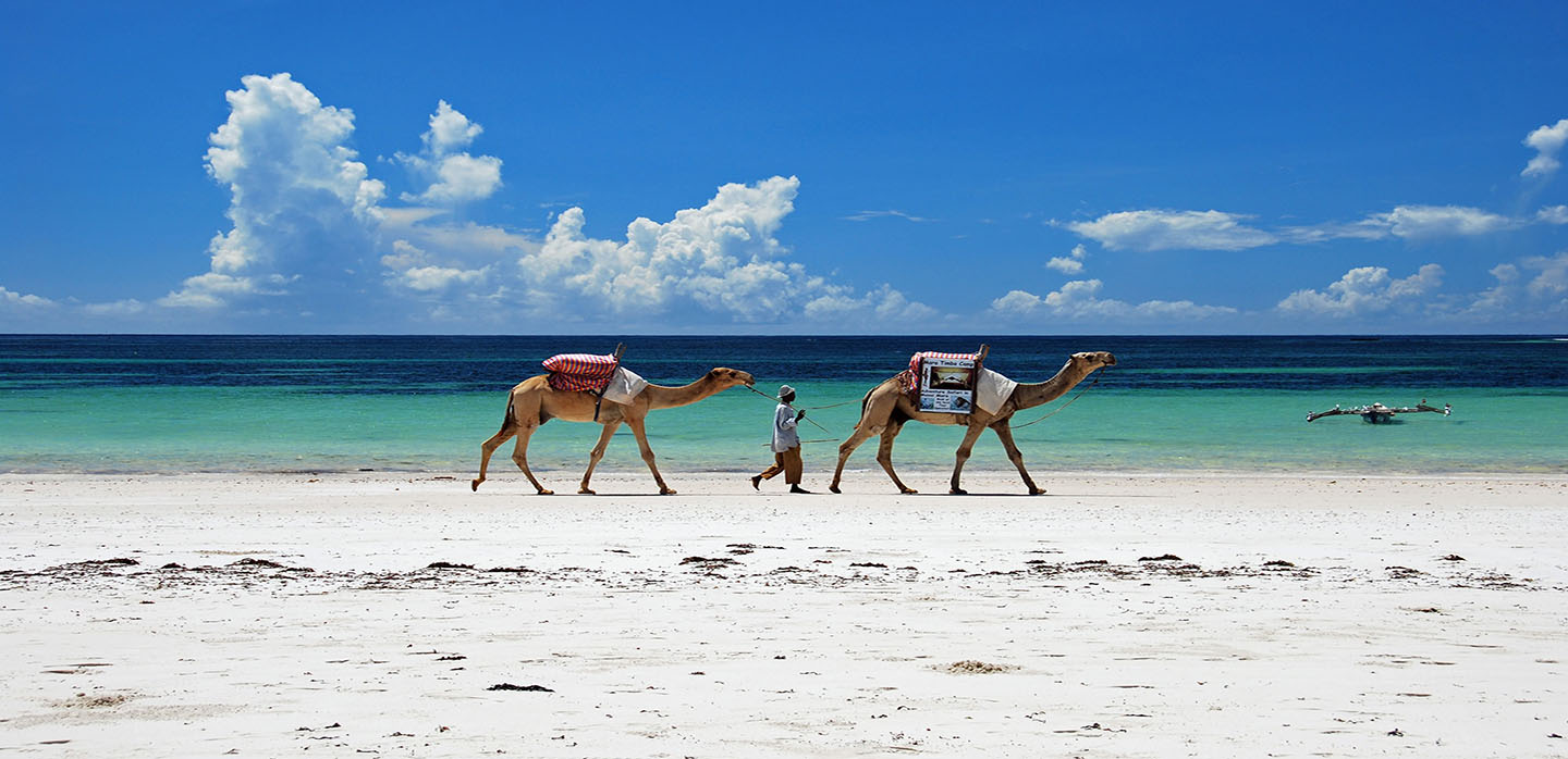 Unable to load image