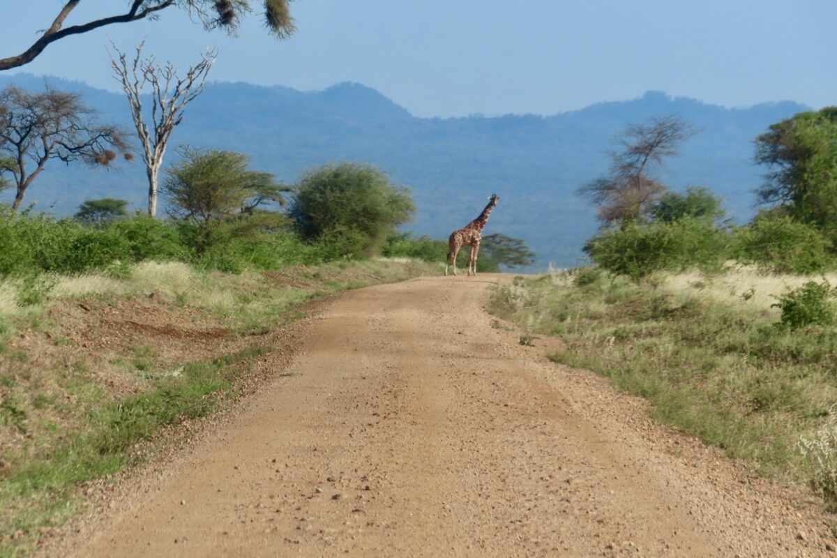 Unable to load image